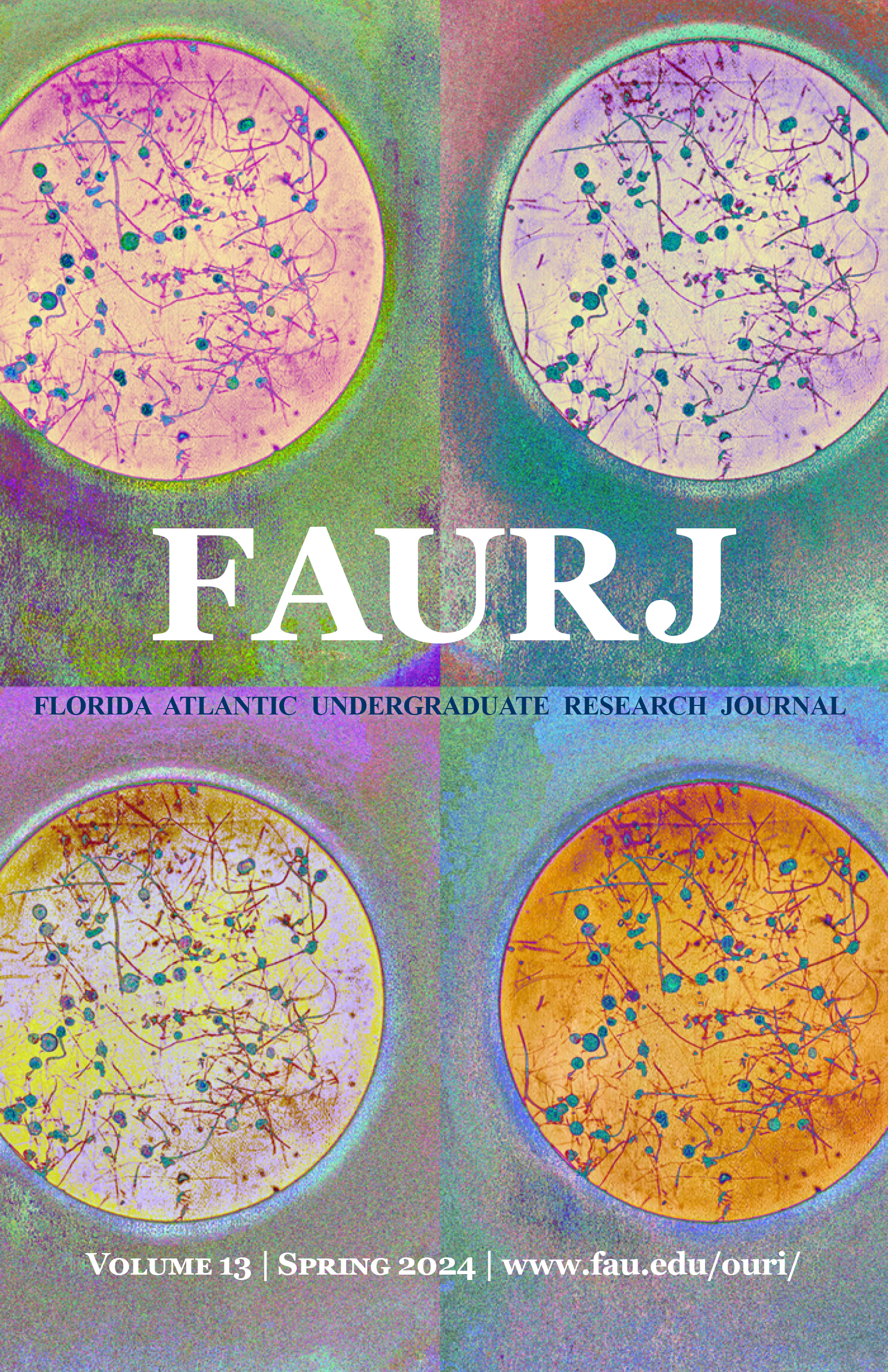 					View Vol. 13 (2024): FAU Undergraduate Research Journal
				