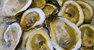 A close up photo of raw oysters on ice.
