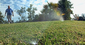 a photo of a man standing on lawn while sprinkler soaks turfgrass in foreground