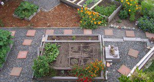 birds-eye view photo of an urban garden with pathways and mulch among a variety of plantings.