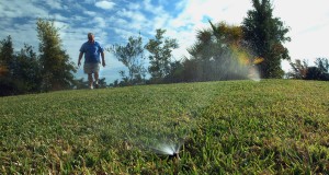 Turfgrass with a sprinkler in the foreground and a man approaching the camera from the back left of frame. UF/IFAS File Photo.