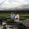 A video shoot taking place in a greenhouse.