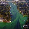 Algal blooms in a river.