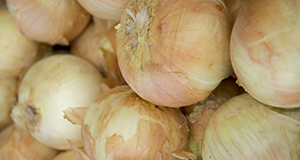 A photo of a pile of yellow onions.