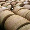 A donkey amidst rows of hay bales.