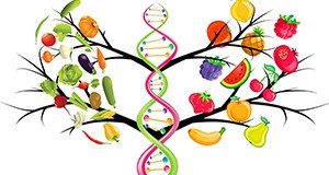 A picture of DNA acting as the trunk of a tree, with vegetables growing off the branches on the left side and fruit on the right.