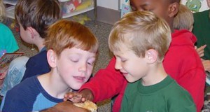 Children petting a baby chick