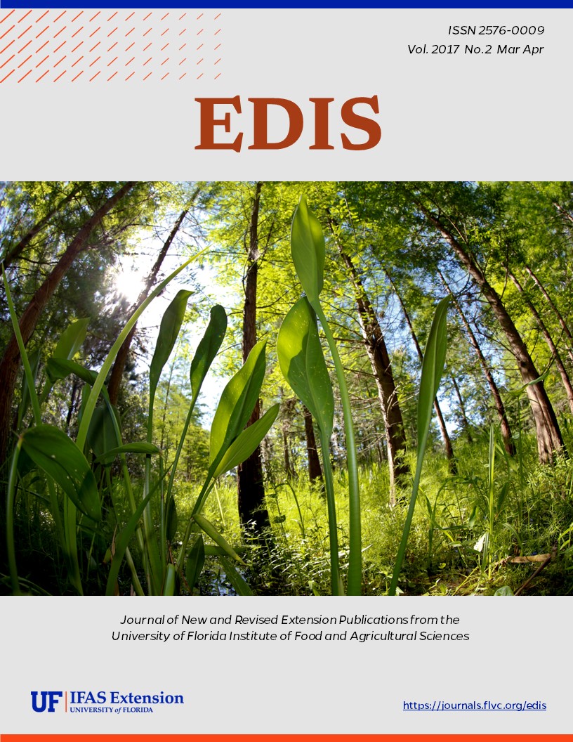 Emergent growth of East Indian hygrophila. Figure 1 from publication SS-AGR-411/AG413: East Indian Hygrophila: Hygrophila polysperma (Roxb.) T. Anderson. Credit: Lyn Gettys, UF/IFAS.