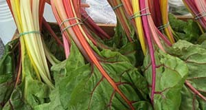 Market display of ‘Bright Lights’ chard. 