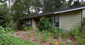 A Florida Friendly Yard in NW Gainesville, Florida.